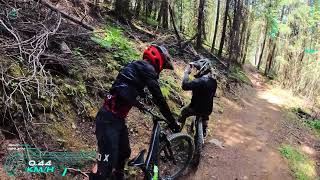 Panorama Mountain Resort - Quadzilla ◇ Upper...