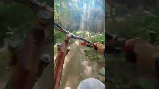 Womp Rat ◇ - Valemount Bike Park