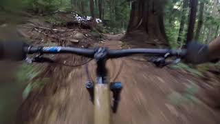crinkum crankum to kikford mt fromme