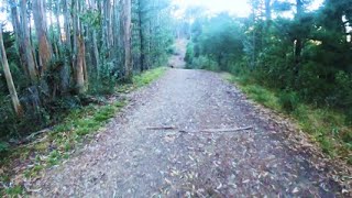 West Ridge trail to Skyline Gate Staging area