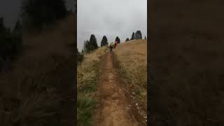 Sellaronda, jolly su Gran paradiso trail