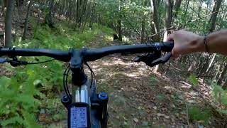 Caramba - Southern Michaux State Forest