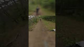 Anninger Kiental Trail with Felix  #shorts