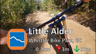 Little Alder - Whistler Bike Park - Whistler, BC