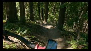 Quartz Creek #949 MTB