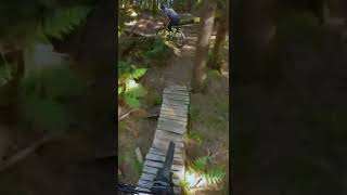 Log Riding in the Forest #shorts