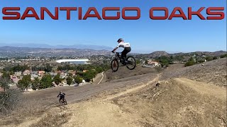 Santiago Oaks on YT Decoy (Road Gap, Sketch...
