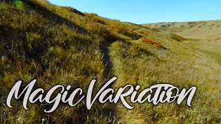MAGIC VARIATION, 2022, (RAW RIDE) Lethbridge...