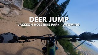Jackson Hole Bike Park - Deer Jump (Mountain Bike)