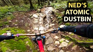 You'll want a DOWNHILL BIKE for this GNARLY...