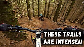 Pitmedden MTB | Scotland | These trails were...