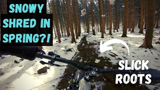 Aachenerwald - Vaals MTB | Snowy shred