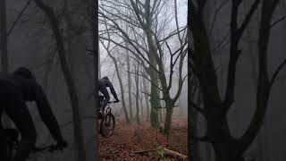Biking in misty autumn forests is the best