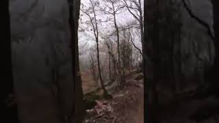 Steep, rocky, slippery singletrack