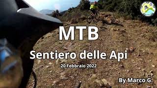 MTB Sentiero delle Api (Seborga)