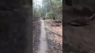 Flying down jumpy singletrack
