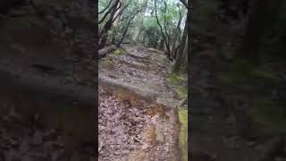 Mountain Biking or Hike a Bike