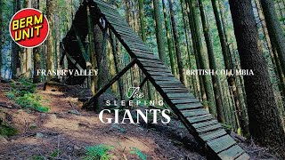 The Sleeping Giants - Features of Old and New...