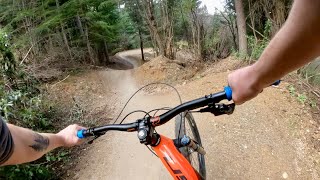 RIDING AN EPIC MTB FLOW TRAIL! - MCNEARLY...