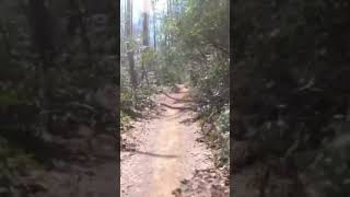 Flowy Fun Lower Black Mountain In Pisgah!!!