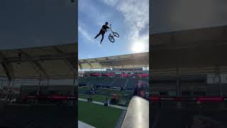 Worlds Most Tailwhips
