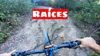 RAíCES - COLLSEROLA - ENDURO MTB