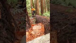 Skinnies Will Get You!  #wipeout #crash #mtb...