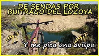 Me PICA una AVISPA ​ Sendas por Buitrago del...