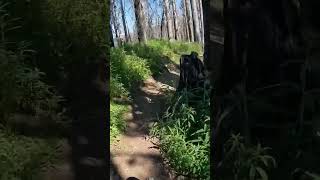 That trail was a lively descent even at the...