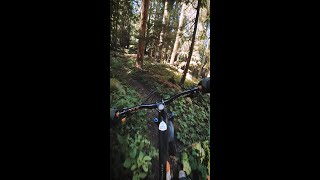 Gordon Lakes Trail