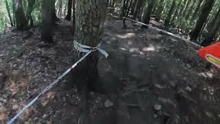 TRITRI trail Abetone gravity park