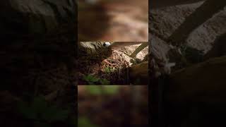When I BROKE my wrist  MTB crash