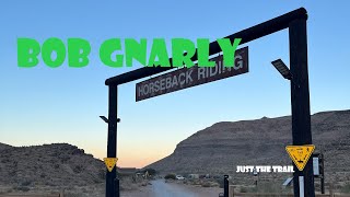 BOB Gnarly MTB Trail Las Vegas