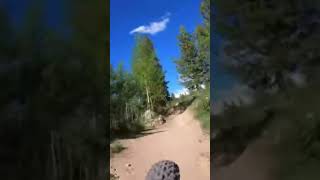 Downhill mountain bike trail on XC bike!!