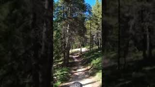 Will my sewn bike tire hold up on these jumps??!!