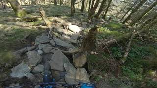 Raidinu 22.04.19 Moltekremstien