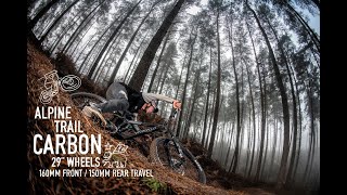 2021 Marin Alpine Trail Carbon