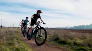 Marin Team Marin project overview