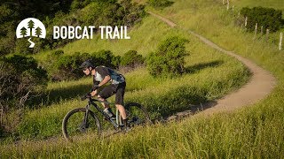 2019 Bobcat Trail