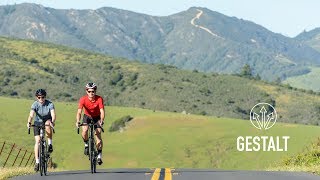 2019 Marin Gestalt