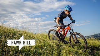 2019 Hawk Hill