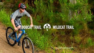 2018 Marin Bobcat Trail
