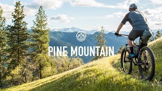 2018 Marin Pine Mountain