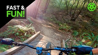 FAST AND FUN MTB : WHAT TO EXPECT - METHUSELAH...