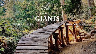 All Time Fall Time! - Vedder Mtn., Chilliwack,...