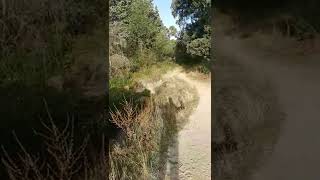 Lugares con encanto ️ #shorts #mtb...