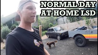 NORMAL DAY AT HOME LSD - LATE  !