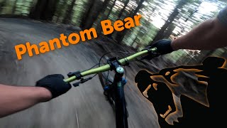 Phantom Bear