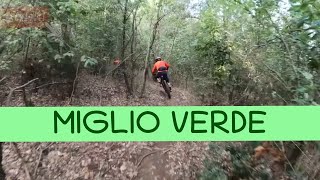 MTB Monte Morello 08.10.2022 sentiero MIGLIO VERDE