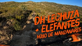 ‍♀️  ⚡️ DH Lechuza + Elefantes  |...